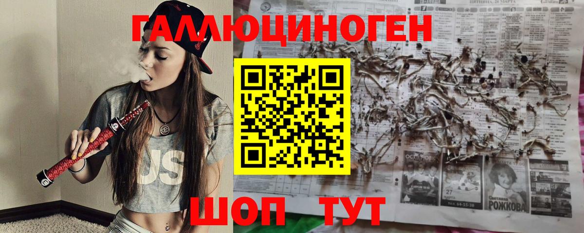 Галлюциногенные грибы прущие грибы  купить наркотики цена  Заводоуковск  Вход с VPN 